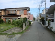 生茂る雑草