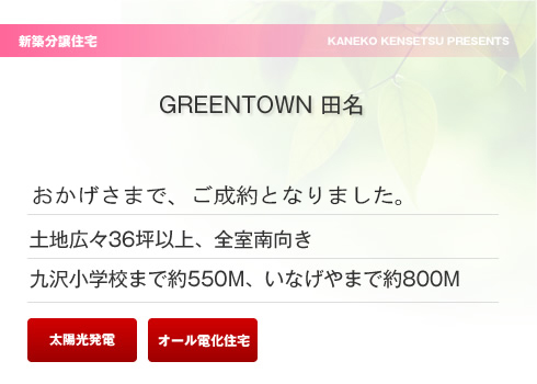 GREEN TOWN �c��