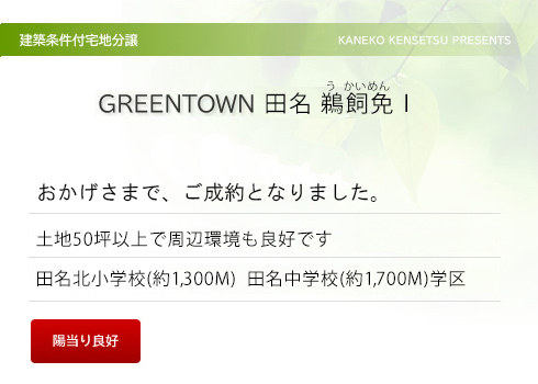 GREEN TOWN 